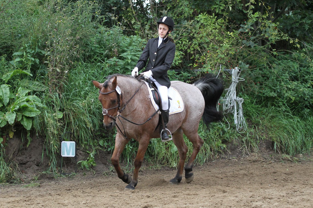 Bild 899 - WBO-Turnier am 18.9.11